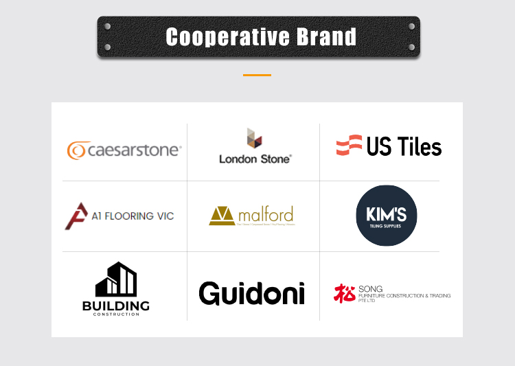 Company Profile 5