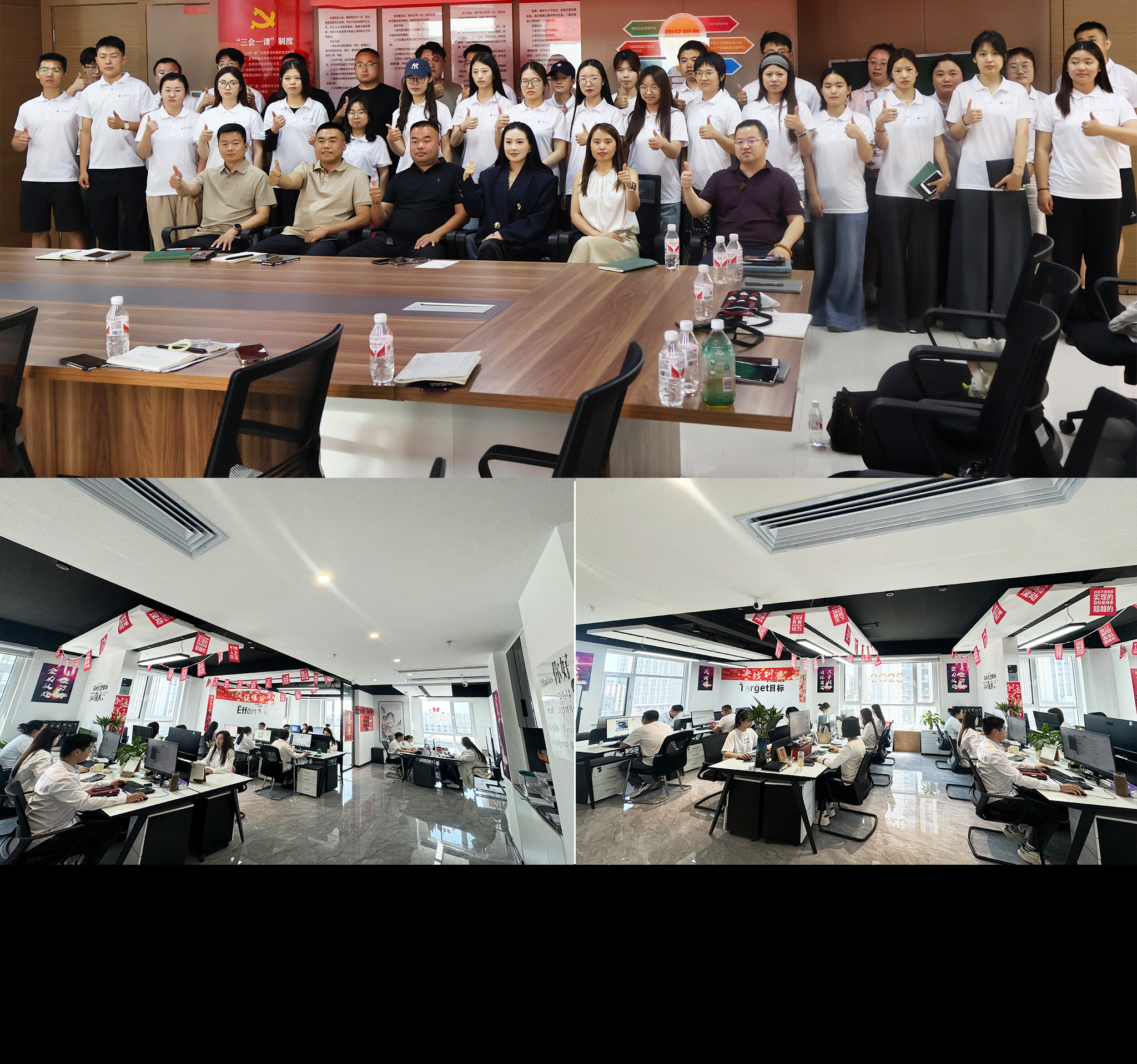 Company Showcase